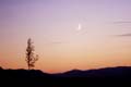 Moon-Venus 13-06-02 vsm.jpg (3903 bytes)